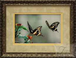 Картина, вышитая шёлком "Тропические бабочки Данаида"