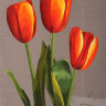 Шёлковая картина "Алые тюльпаны"